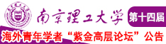 大鸡巴不停抽插视频南京理工大学第十四届海外青年学者紫金论坛诚邀海内外英才！